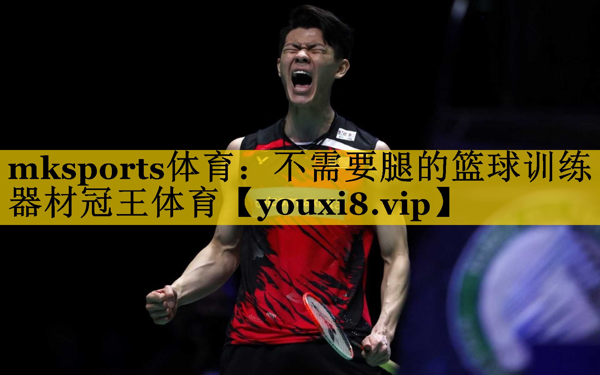 mksports体育：不需要腿的篮球训练器材冠王体育