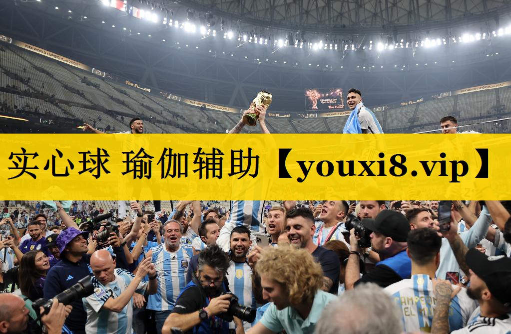 实心球 瑜伽辅助 实心球 瑜伽辅助