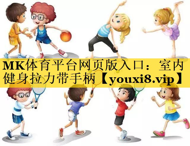 室内健身拉力带手柄